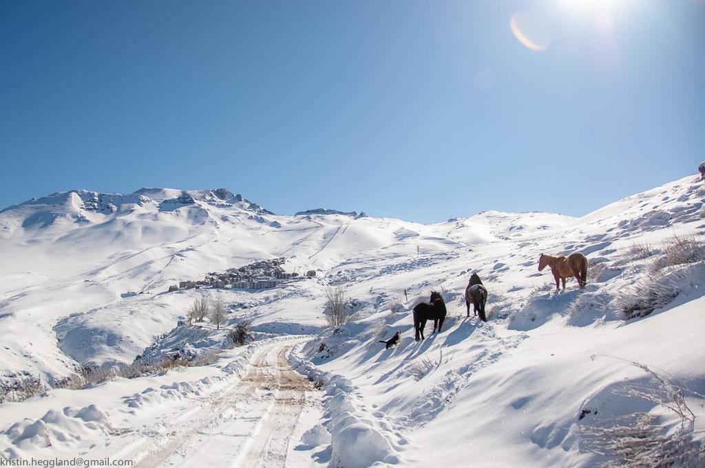 Lodge Cordillera Valle Nevado Exteriér fotografie